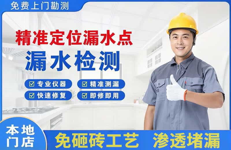云龙精准测漏点